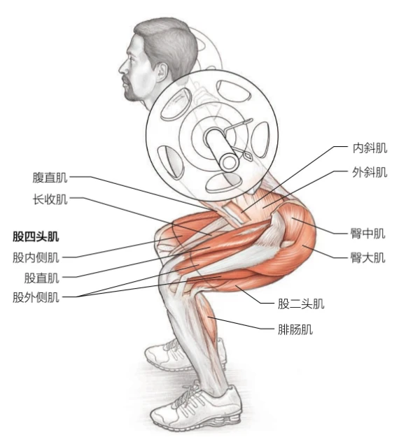 篮球教练如何帮助球员理解规则的重要性？_2
